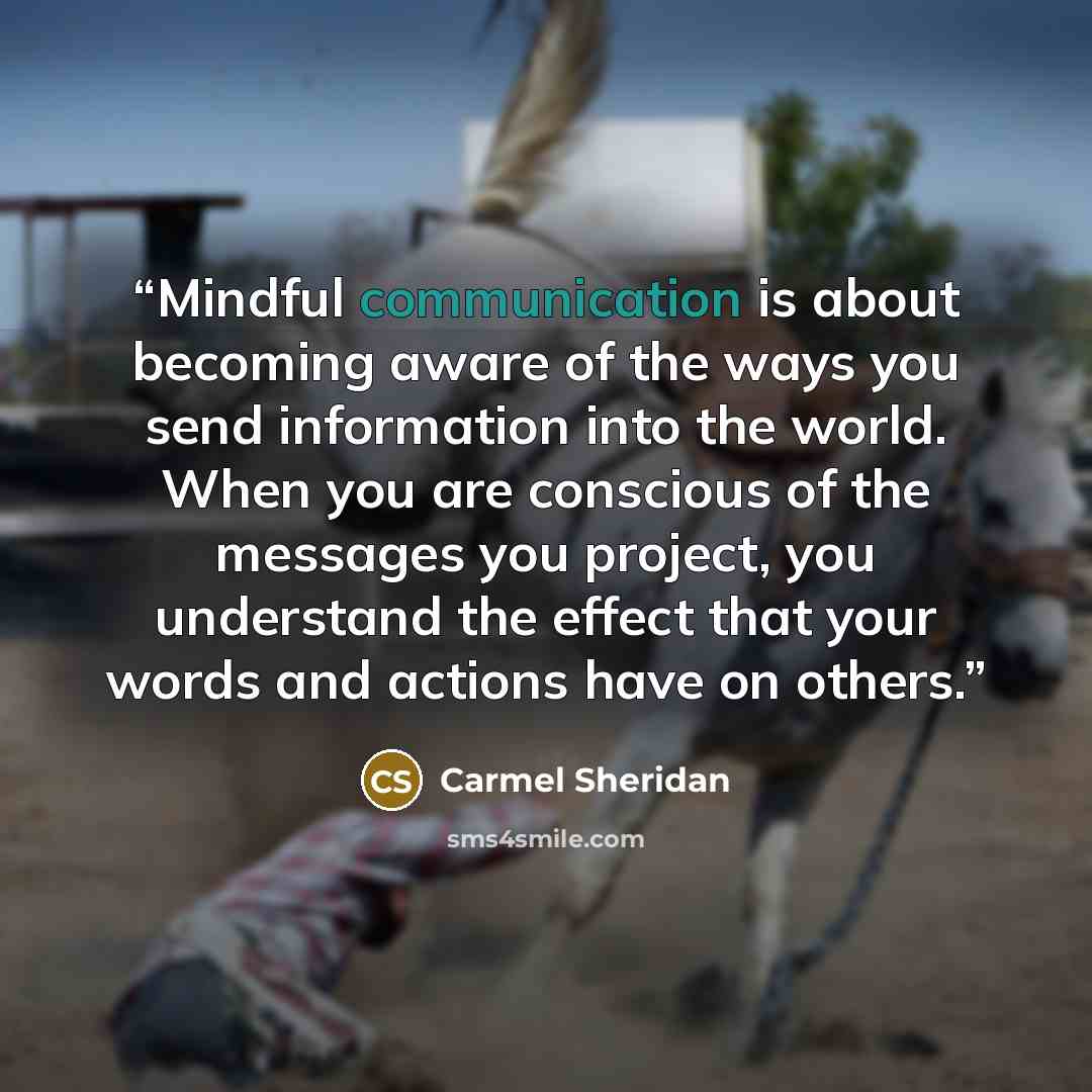 “Mindful communication is about becoming aware of the ways you send information into the world. When you are conscious of the messages you project, you understand the effect that your words and actions have on others.” quote by Carmel Sheridan