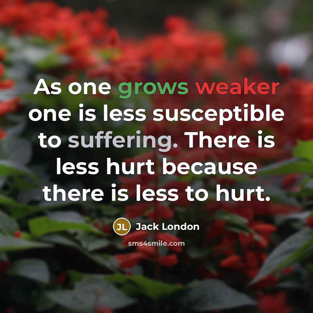 “As one grows weaker one is less susceptible to suffering. There is less hurt because there is less to hurt.” quote by Jack London