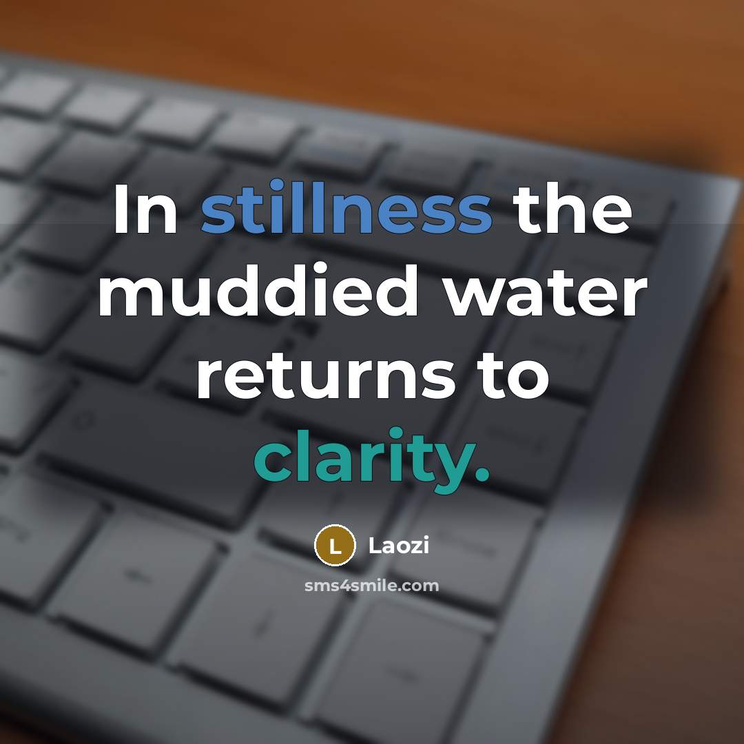 “In stillness the muddied water returns to clarity.” quote by Laozi