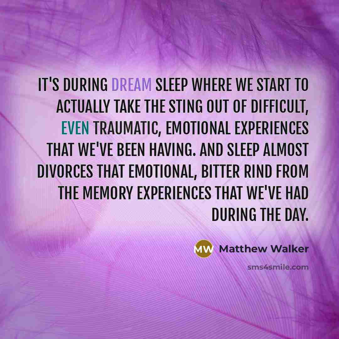 “It's during dream sleep where we start to actually take the sting out of difficult, even traumatic, emotional experiences that we've been having. And sleep almost divorces that emotional, bitter rind from the memory experiences that we've had during the day.” quote by Matthew Walker