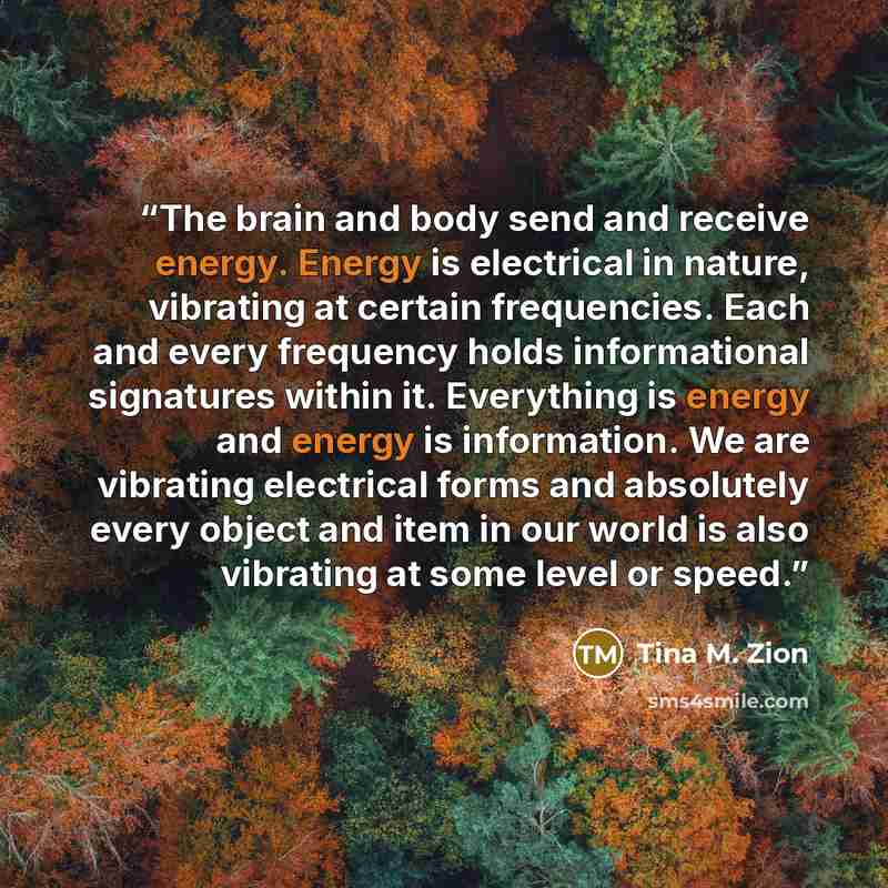 “The brain and body send and receive energy. Energy is electrical in nature, vibrating at certain frequencies. Each and every frequency holds informational signatures within it. Everything is energy and energy is information. We are vibrating electrical forms and absolutely every object and item in…” quote by Tina M. Zion