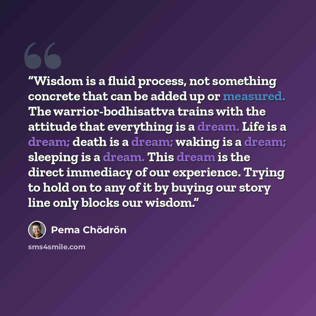 “Wisdom is a fluid process, not something concrete that can be added up or measured. The warrior-bodhisattva trains with the attitude that everything is a dream. Life is a dream; death is a dream; waking is a dream; sleeping is a dream. This dream is the direct immediacy of our experience. Trying…” quote by Pema Chödrön
