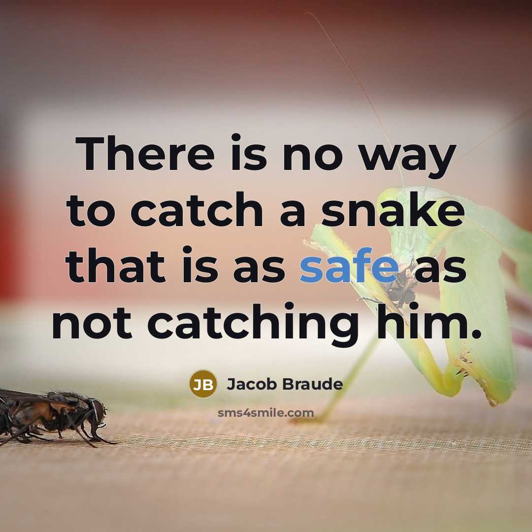 “There is no way to catch a snake that is as safe as not catching him.” quote by Jacob Braude