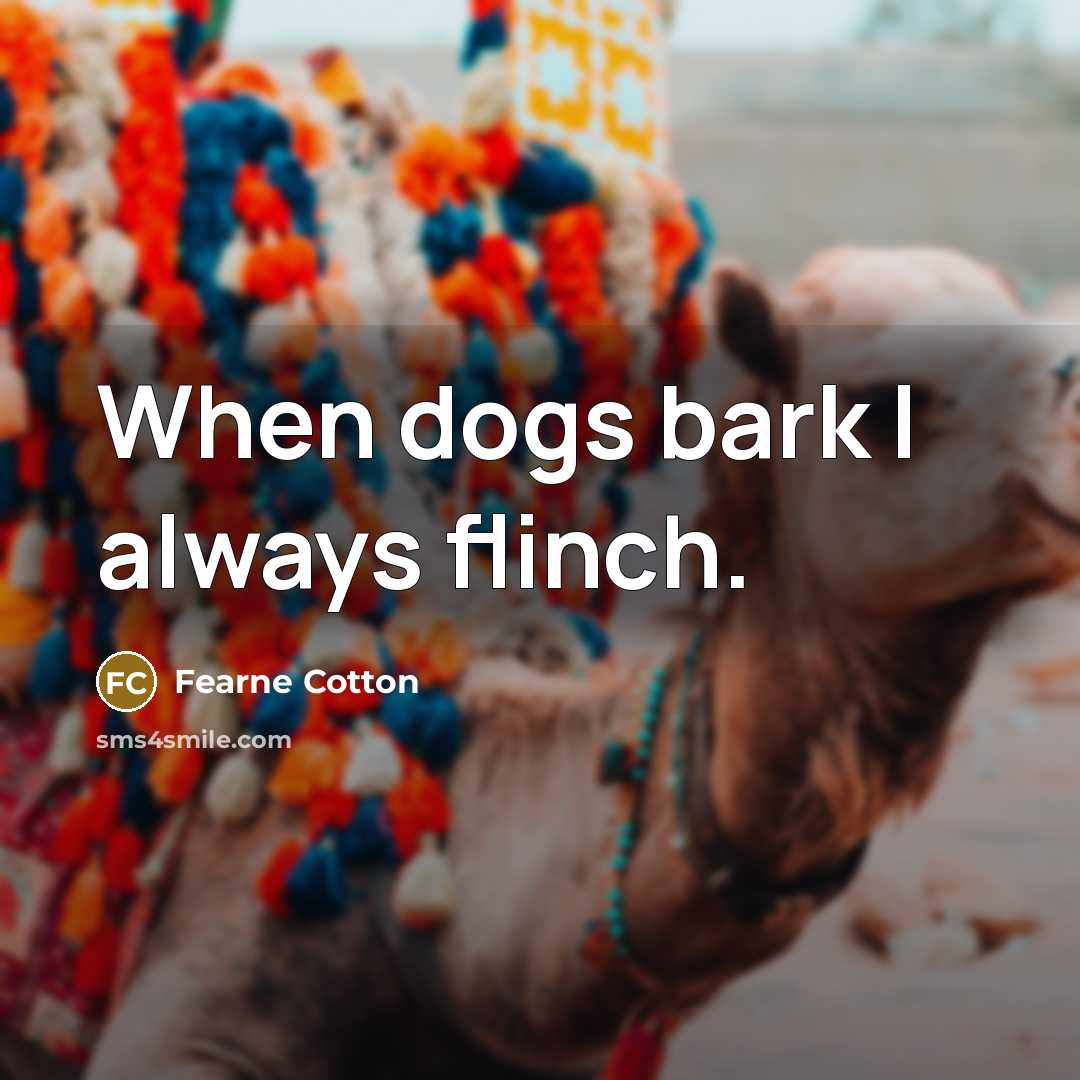 “When dogs bark I always flinch.” quote by Fearne Cotton