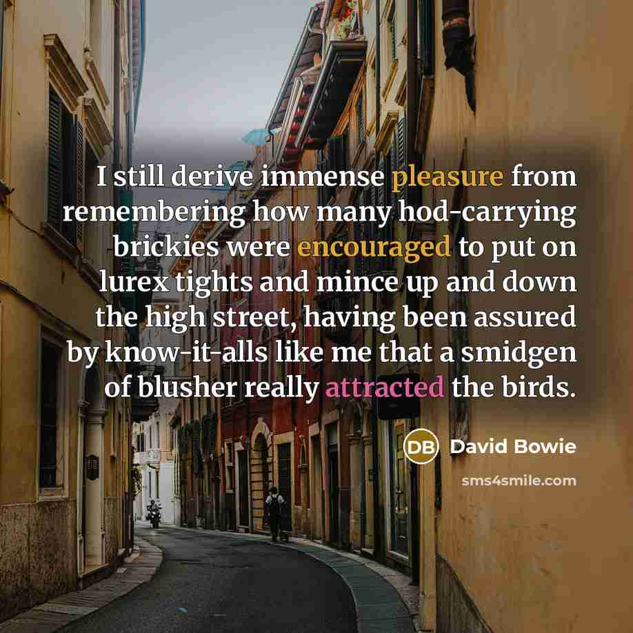 “I still derive immense pleasure from remembering how many hod-carrying brickies were encouraged to put on lurex tights and mince up and down the high street, having been assured by know-it-alls like me that a smidgen of blusher really attracted the birds.” quote by David Bowie