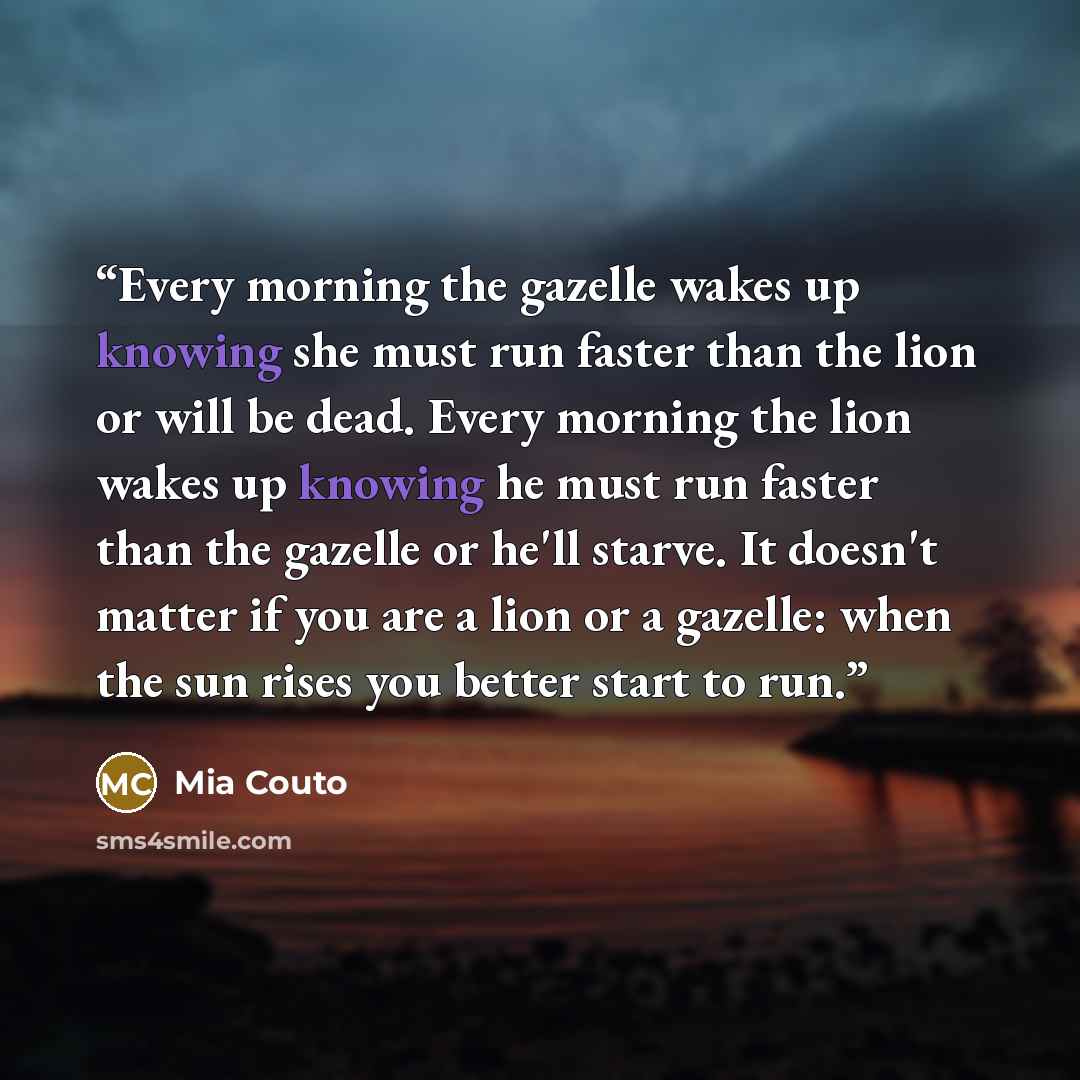 “Every morning the gazelle wakes up knowing she must run faster than the lion or will be dead. Every morning the lion wakes up knowing he must run faster than the gazelle or he'll starve. It doesn't matter if you are a lion or a gazelle: when the sun rises you better start to run.” quote by Mia Couto