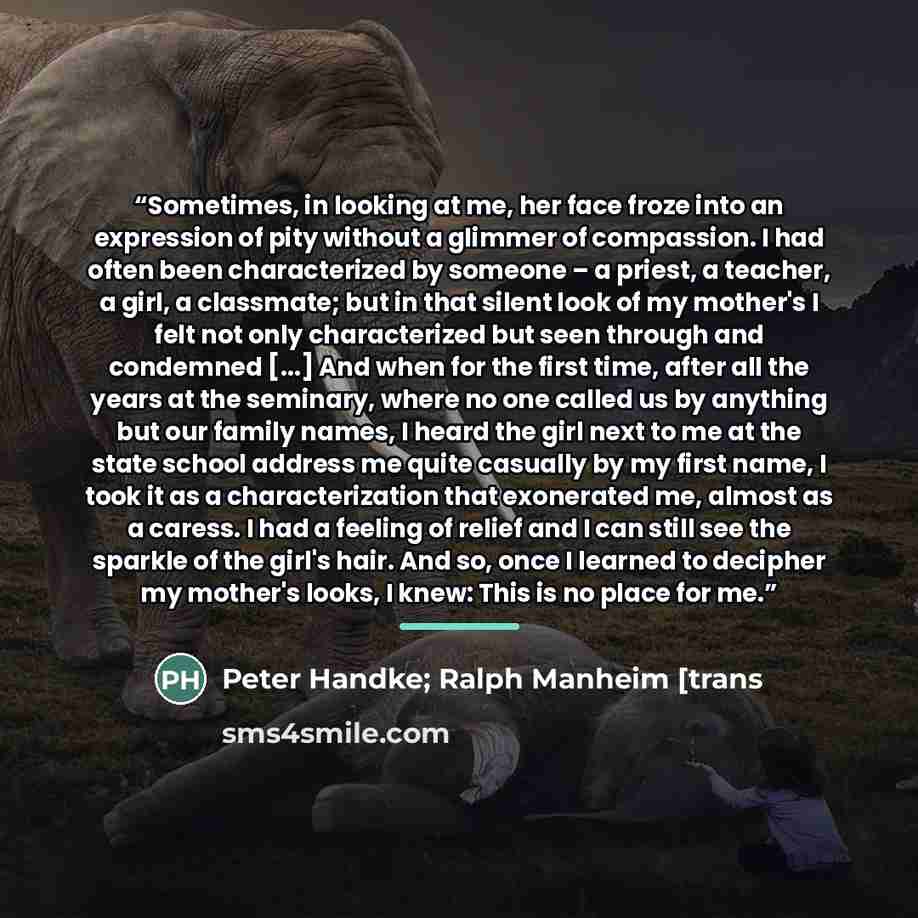 “Sometimes, in looking at me, her face froze into an expression of pity without a glimmer of compassion. I had often been characterized by someone – a priest, a teacher, a girl, a classmate; but in that silent look of my mother's I felt not only characterized but seen through and condemned [...]…” quote by Peter Handke; Ralph Manheim [trans