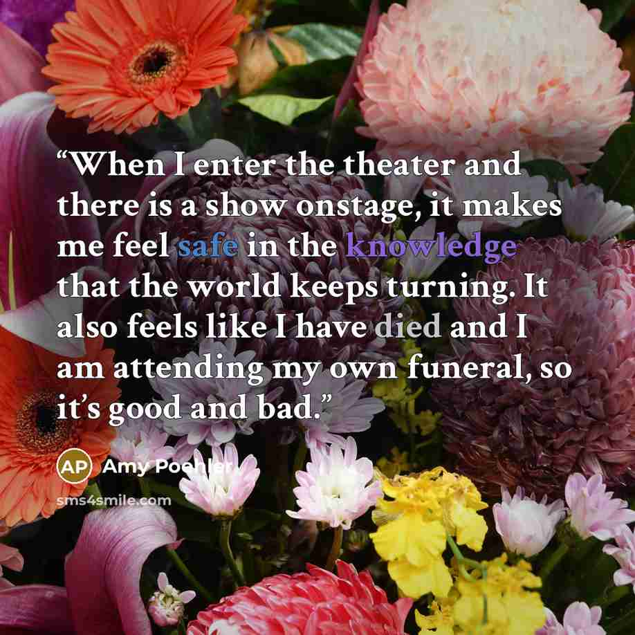 “When I enter the theater and there is a show onstage, it makes me feel safe in the knowledge that the world keeps turning. It also feels like I have died and I am attending my own funeral, so it’s good and bad.” quote by Amy Poehler