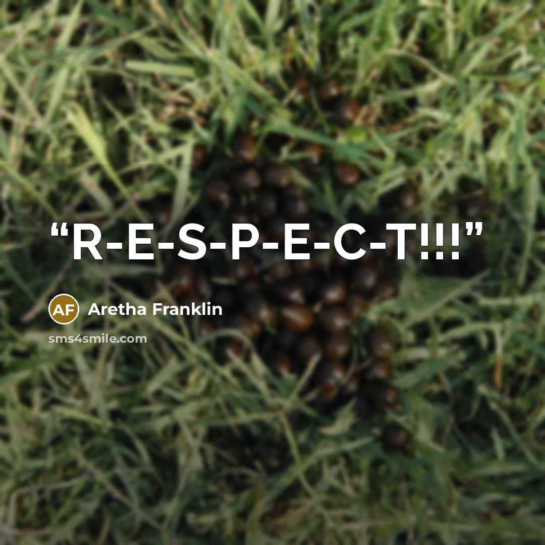 “R-E-S-P-E-C-T!!!” quote by Aretha Franklin