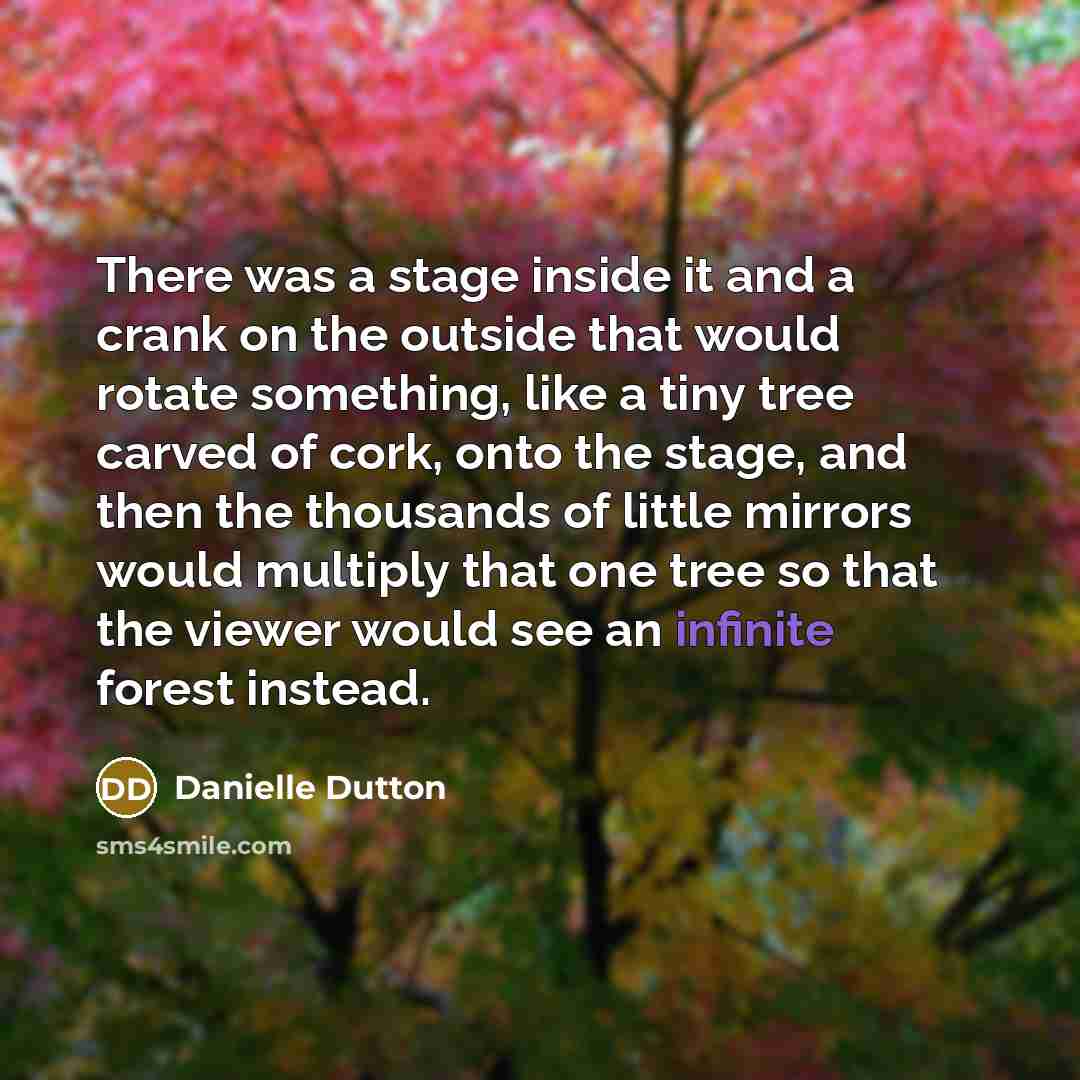“There was a stage inside it and a crank on the outside that would rotate something, like a tiny tree carved of cork, onto the stage, and then the thousands of little mirrors would multiply that one tree so that the viewer would see an infinite forest instead.” quote by Danielle Dutton