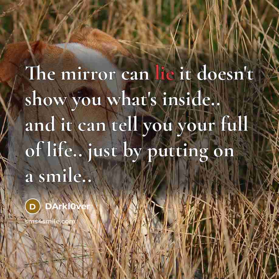 “The mirror can lie it doesn't show you what's inside.. and it can tell you your full of life.. just by putting on a smile..” quote by DArkl0ver