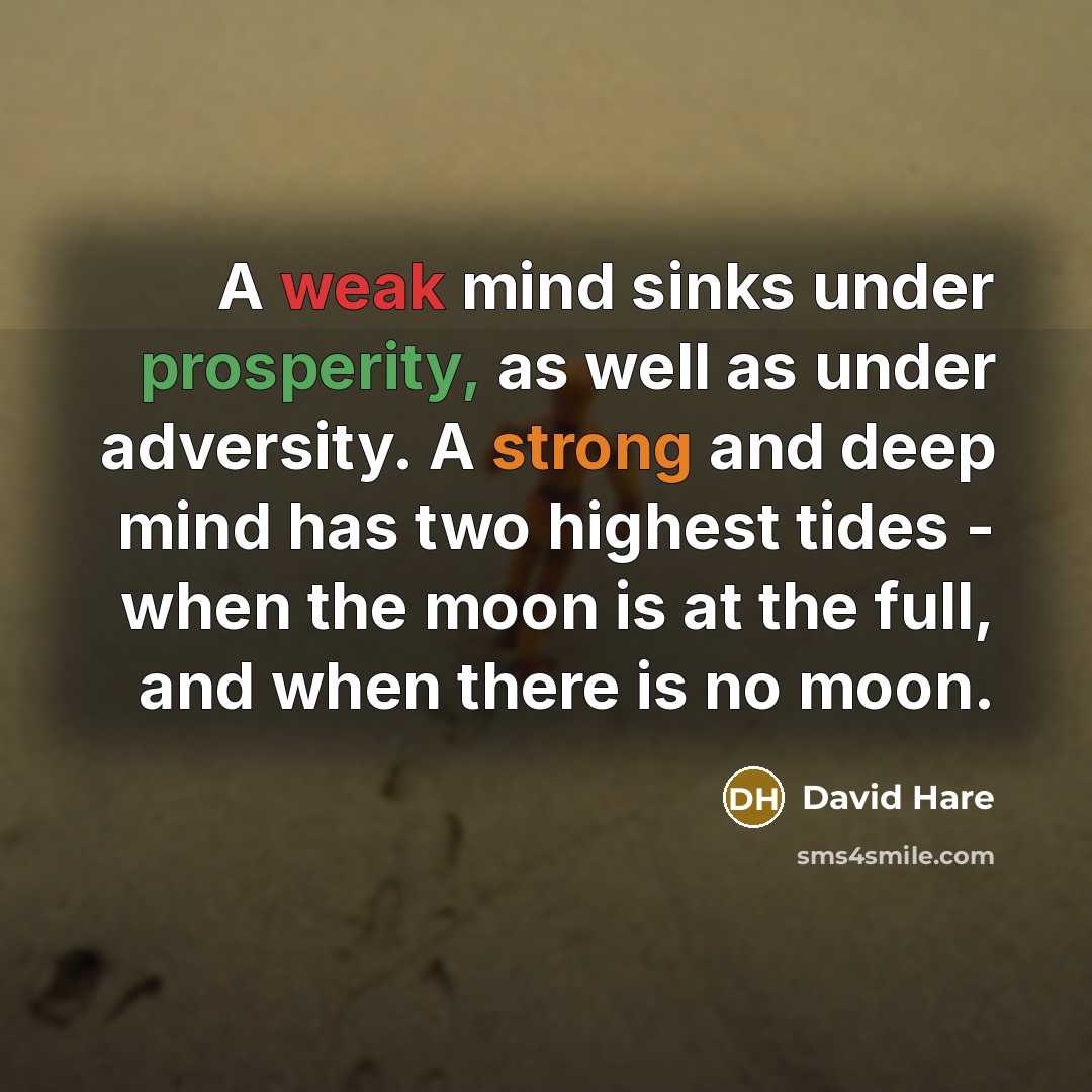 “A weak mind sinks under prosperity, as well as under adversity. A strong and deep mind has two highest tides - when the moon is at the full, and when there is no moon.” quote by David Hare