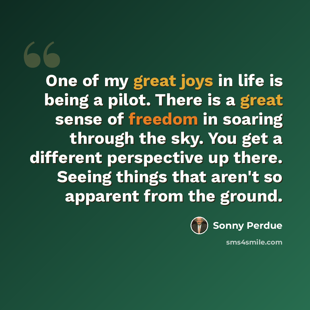 “One of my great joys in life is being a pilot. There is a great sense of freedom in soaring through the sky. You get a different perspective up there. Seeing things that aren't so apparent from the ground.” quote by Sonny Perdue
