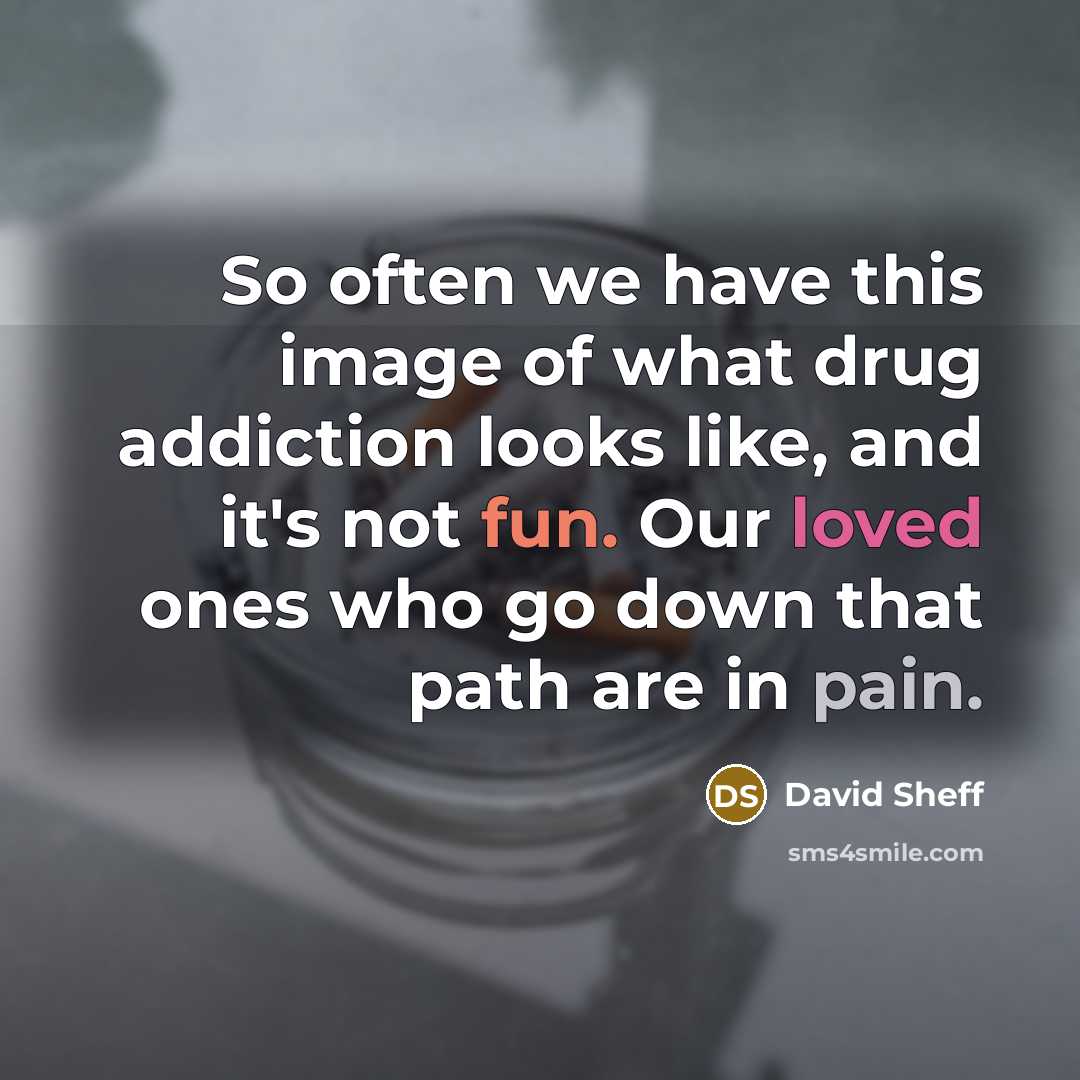 “So often we have this image of what drug addiction looks like, and it's not fun. Our loved ones who go down that path are in pain.” quote by David Sheff