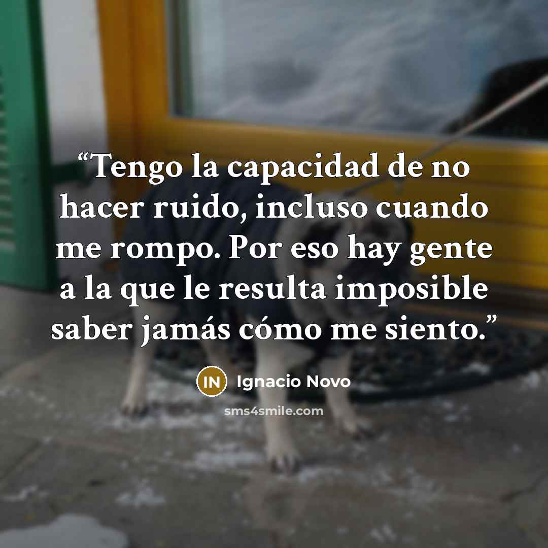 “Tengo la capacidad de no hacer ruido, incluso cuando me rompo. Por eso hay gente a la que le resulta imposible saber jamás cómo me siento.” quote by Ignacio Novo