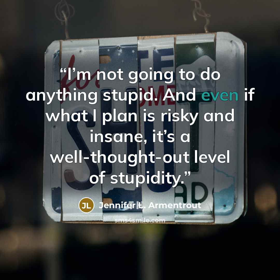 “I’m not going to do anything stupid. And even if what I plan is risky and insane, it’s a well-thought-out level of stupidity.” quote by Jennifer L. Armentrout