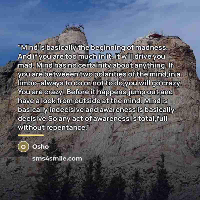 “Mind is basically the beginning of madness. And if you are too much in it, it will drive you mad. Mind has no certainity about anything. If you are betweeen two polarities of the mind,in a limbo--always to do or not to do,you will go crazy. You are crazy! Before it happens,jump out and have a look…” quote by Osho