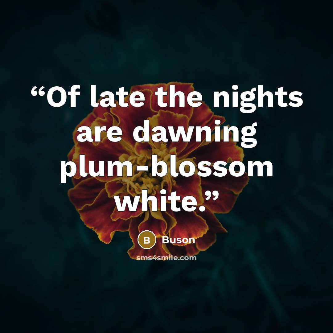 “Of late the nights are dawning plum-blossom white.” quote by Buson