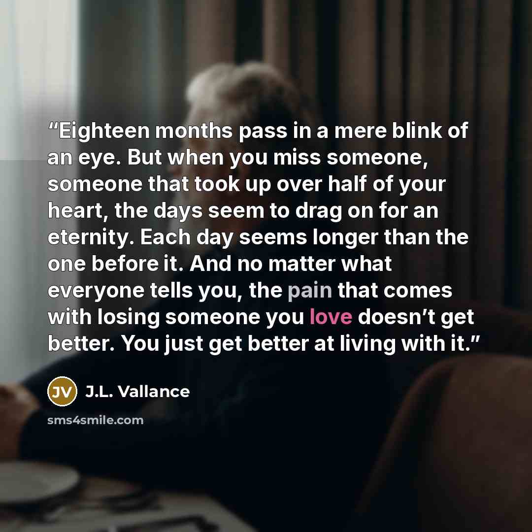 “Eighteen months pass in a mere blink of an eye. But when you miss someone, someone that took up over half of your heart, the days seem to drag on for an eternity. Each day seems longer than the one before it. And no matter what everyone tells you, the pain that comes with losing someone you love…” quote by J.L. Vallance
