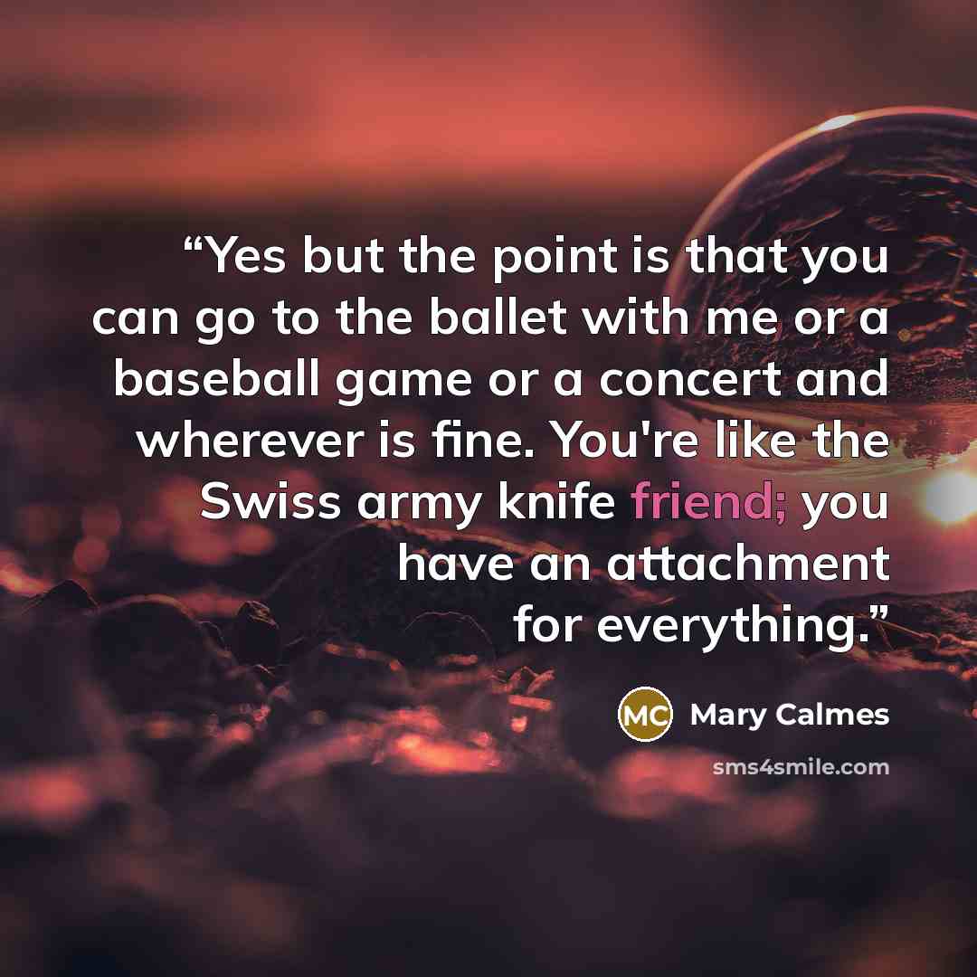 “Yes but the point is that you can go to the ballet with me or a baseball game or a concert and wherever is fine. You're like the Swiss army knife friend; you have an attachment for everything.” quote by Mary Calmes