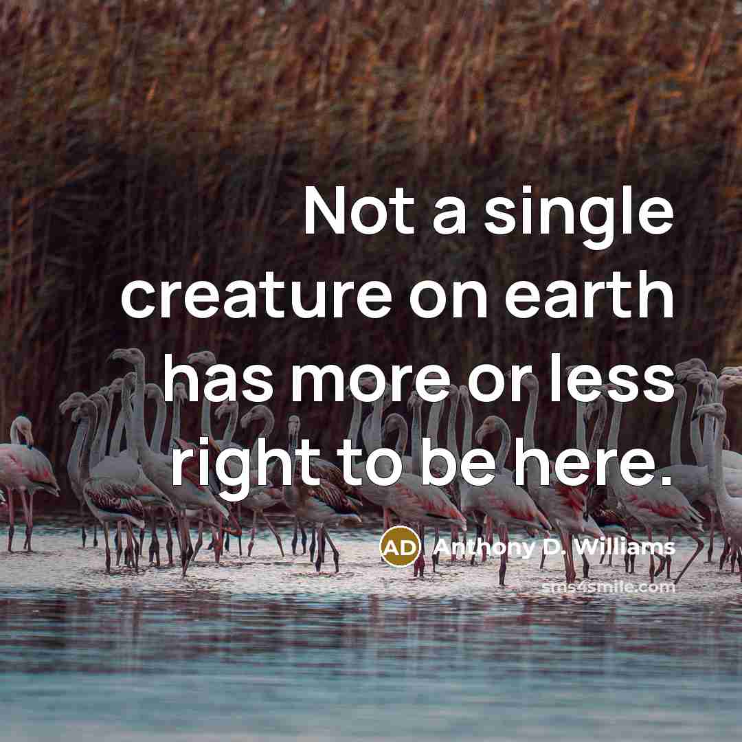 “Not a single creature on earth has more or less right to be here.” quote by Anthony D. Williams