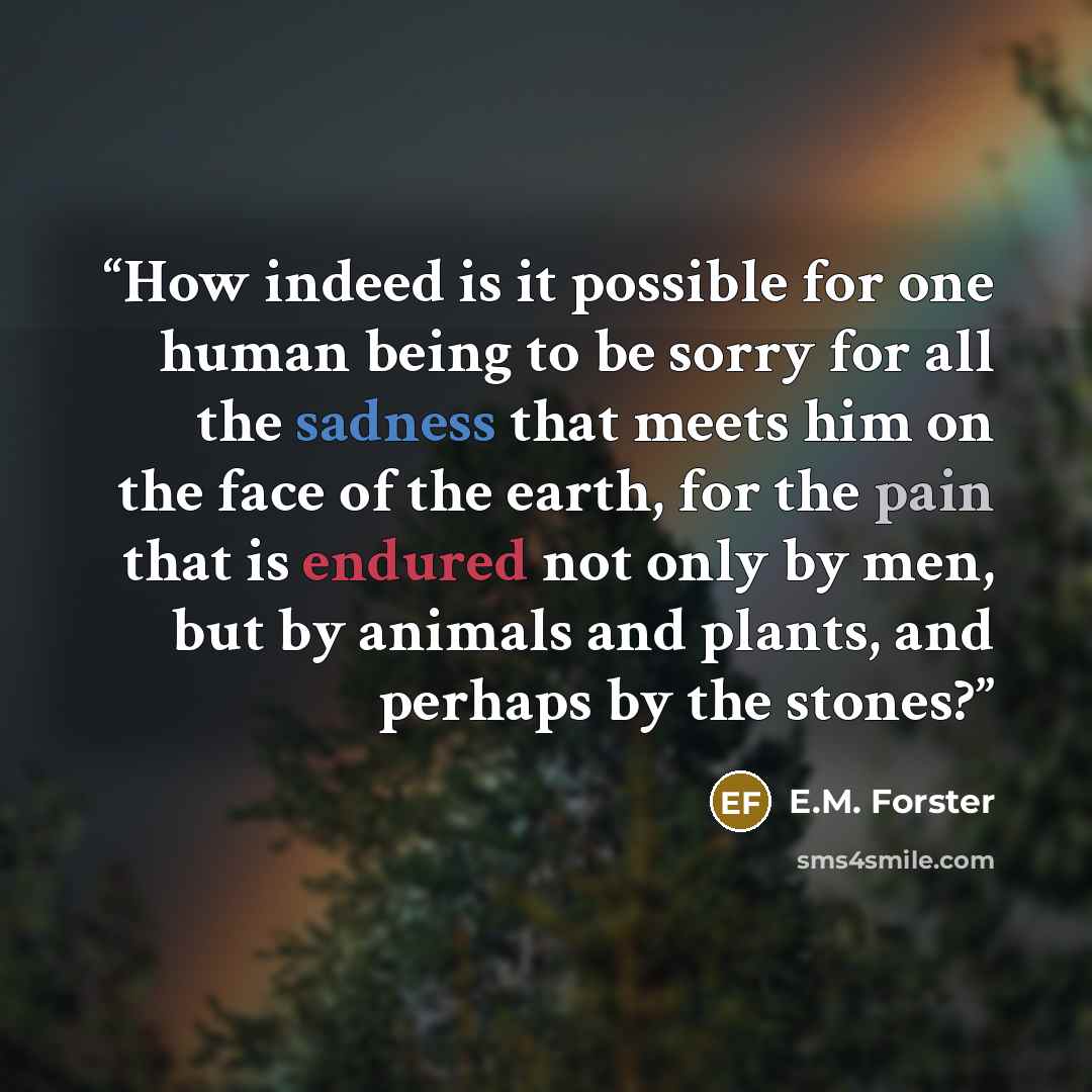 “How indeed is it possible for one human being to be sorry for all the sadness that meets him on the face of the earth, for the pain that is endured not only by men, but by animals and plants, and perhaps by the stones?” quote by E.M. Forster