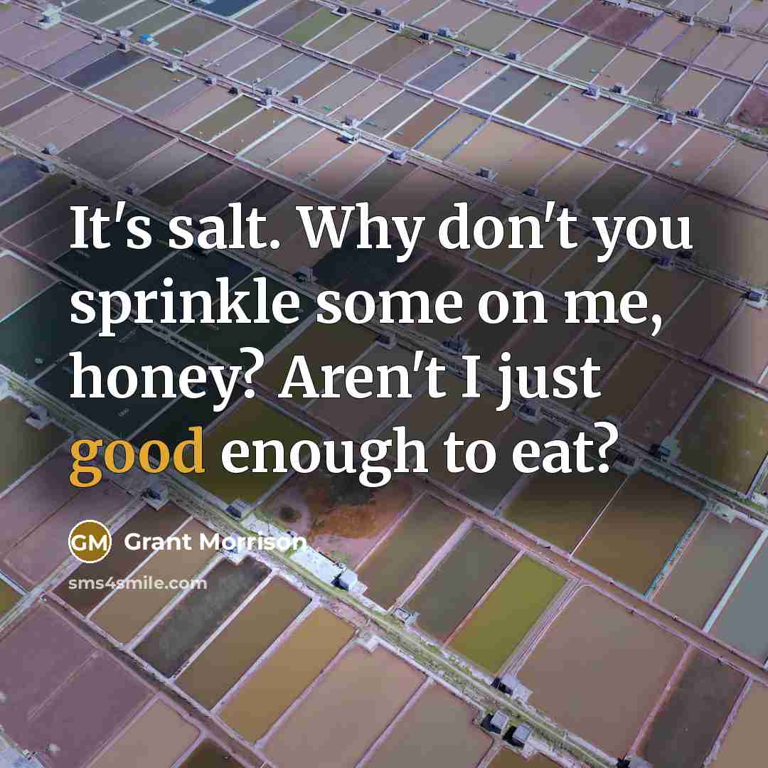 “It's salt. Why don't you sprinkle some on me, honey? Aren't I just good enough to eat?” quote by Grant Morrison