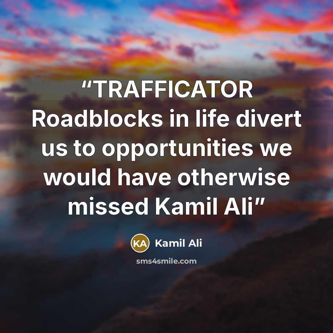 “TRAFFICATOR Roadblocks in life divert us to opportunities we would have otherwise missed Kamil Ali” quote by Kamil Ali