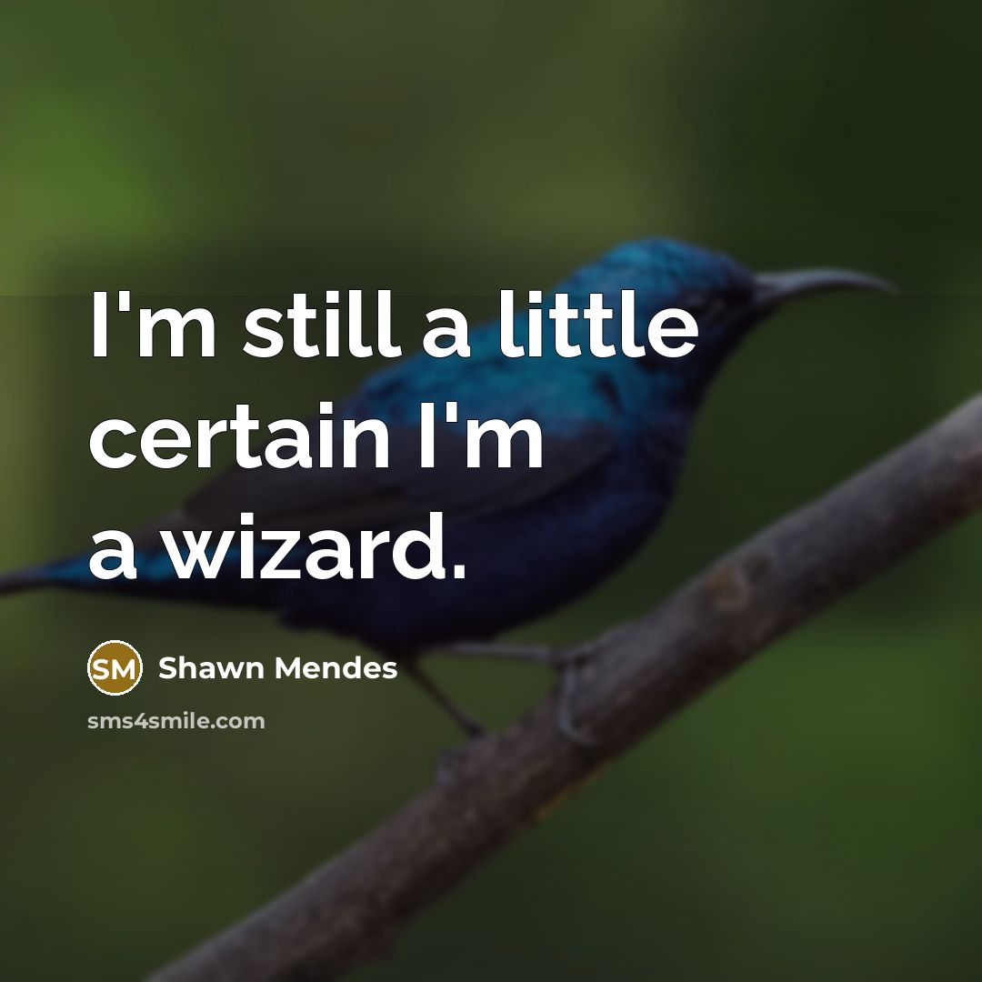 “I'm still a little certain I'm a wizard.” quote by Shawn Mendes
