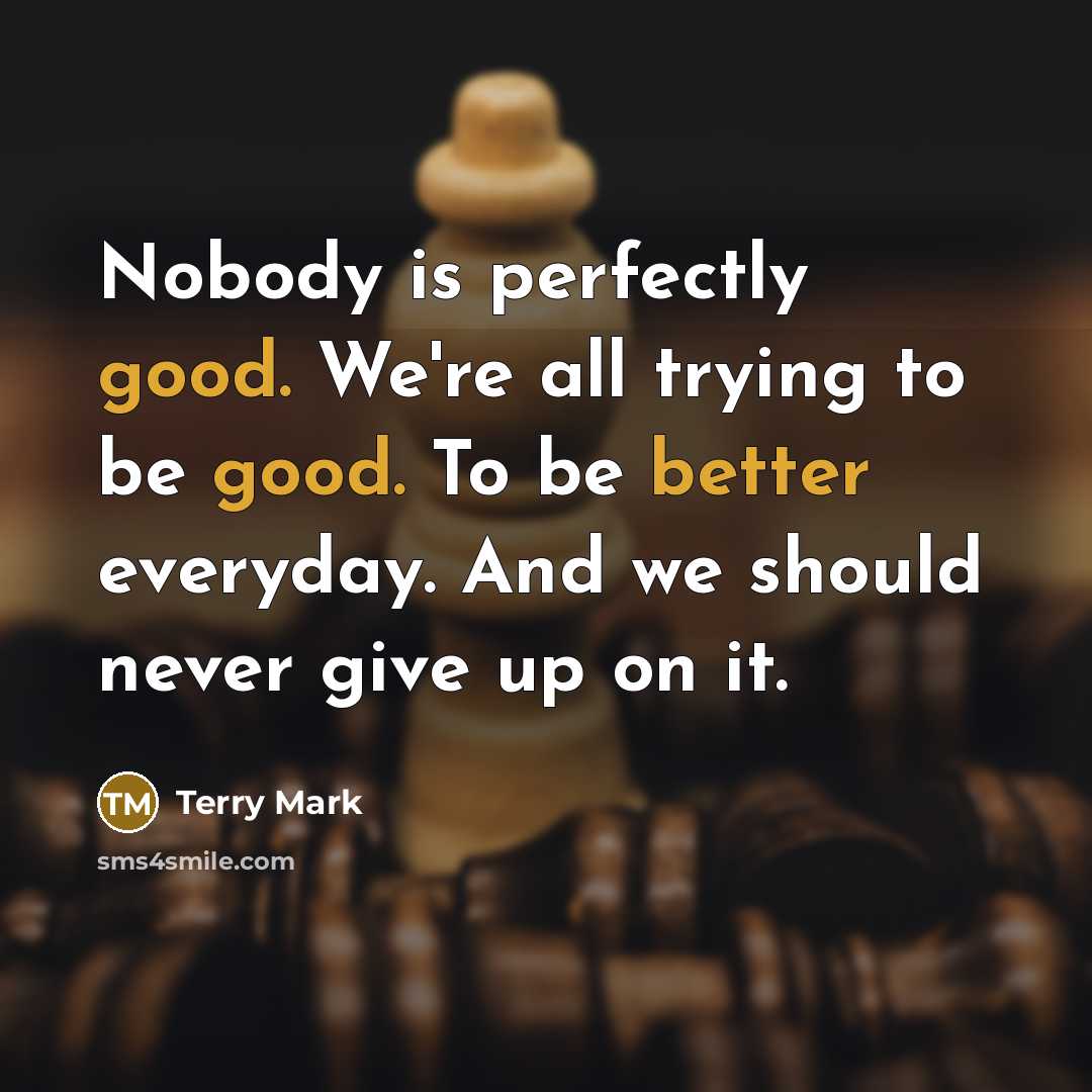 “Nobody is perfectly good. We're all trying to be good. To be better everyday. And we should never give up on it.” quote by Terry Mark