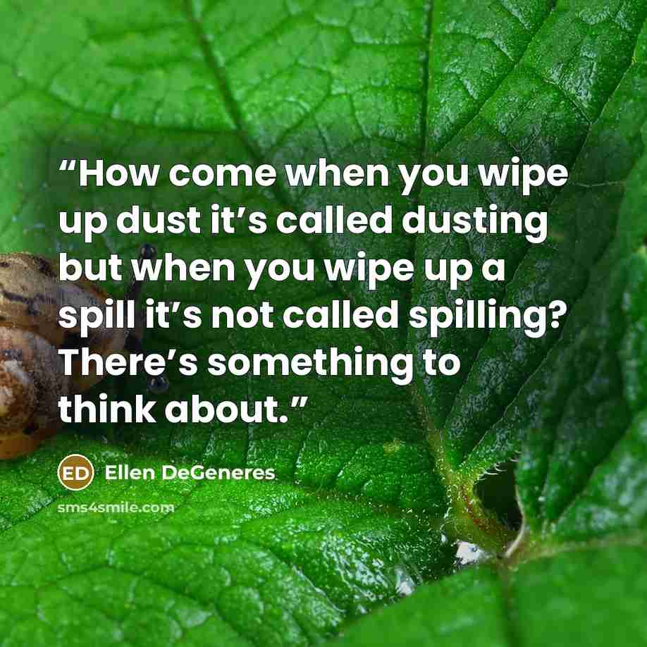 “How come when you wipe up dust it’s called dusting but when you wipe up a spill it’s not called spilling? There’s something to think about.” quote by Ellen DeGeneres