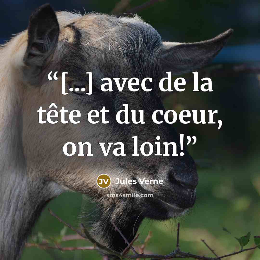 “[...] avec de la tête et du coeur, on va loin!” quote by Jules Verne