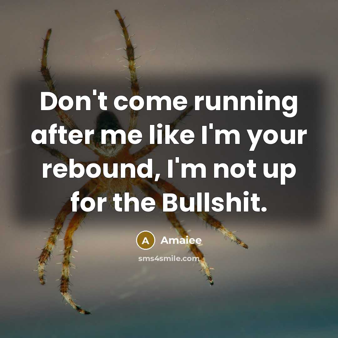 “Don't come running after me like I'm your rebound, I'm not up for the Bullshit.” quote by Amaiee