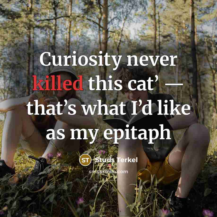 “Curiosity never killed this cat’ — that’s what I’d like as my epitaph” quote by Studs Terkel