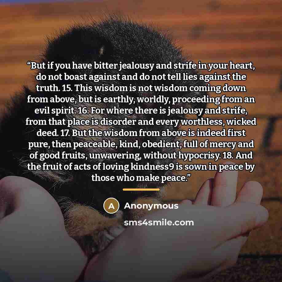 “But if you have bitter jealousy and strife in your heart, do not boast against and do not tell lies against the truth. 15. This wisdom is not wisdom coming down from above, but is earthly, worldly, proceeding from an evil spirit. 16. For where there is jealousy and strife, from that place is…” quote by Anonymous