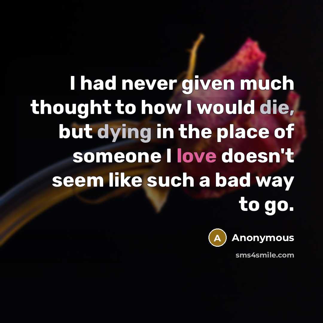“I had never given much thought to how I would die, but dying in the place of someone I love doesn't seem like such a bad way to go.” quote by Anonymous