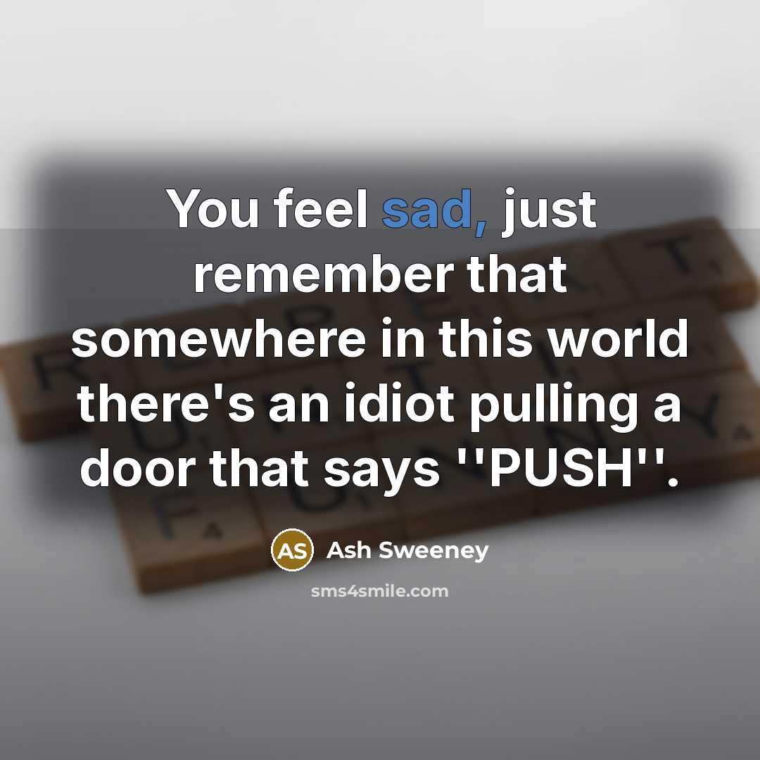 “You feel sad, just remember that somewhere in this world there's an idiot pulling a door that says ''PUSH''.” quote by Ash Sweeney