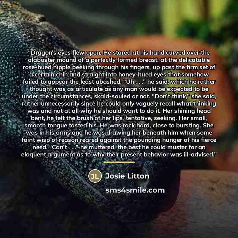 “Dragon’s eyes flew open. He stared at his hand curved over the alabaster mound of a perfectly formed breast, at the delicatable rose-hued nipple peeking through his fingers, up past the firm set of a certain chin and straight into honey-hued eyes that somehow failed to appear the least abashed…” quote by Josie Litton