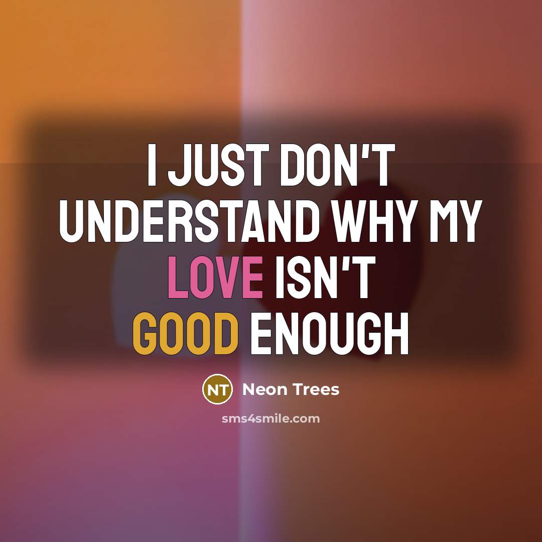 “I just don't understand why my love isn't good enough” quote by Neon Trees