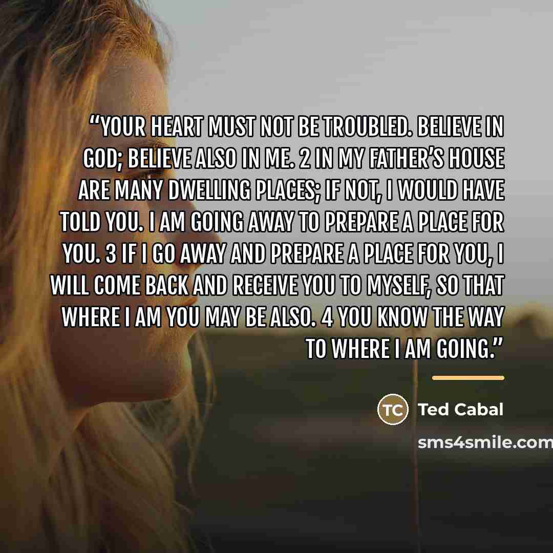 “Your heart must not be troubled. Believe in God; believe also in Me. 2 In My Father’s house are many dwelling places; if not, I would have told you. I am going away to prepare a place for you. 3 If I go away and prepare a place for you, I will come back and receive you to Myself, so that where I…” quote by Ted Cabal