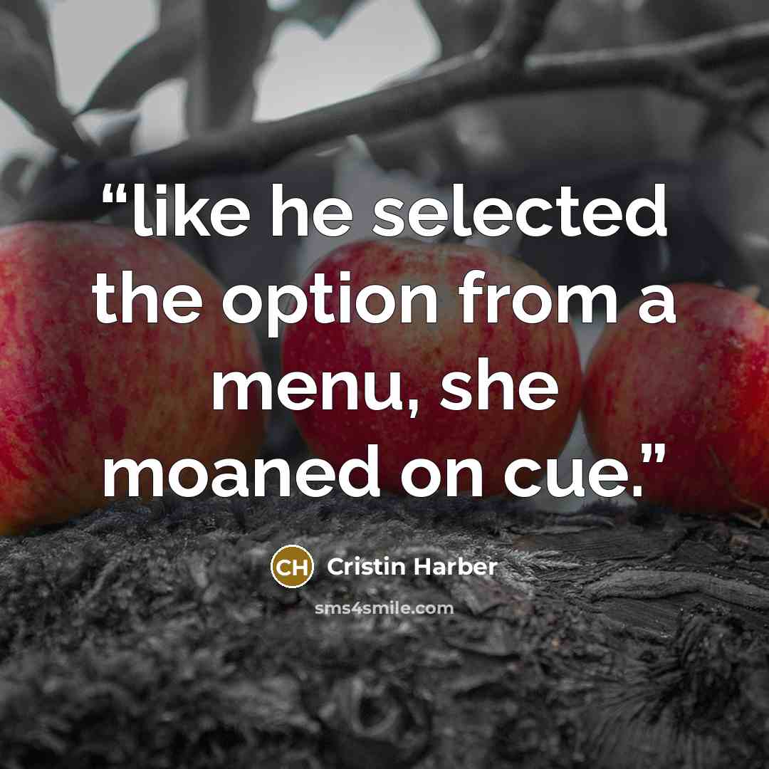 “like he selected the option from a menu, she moaned on cue.” quote by Cristin Harber