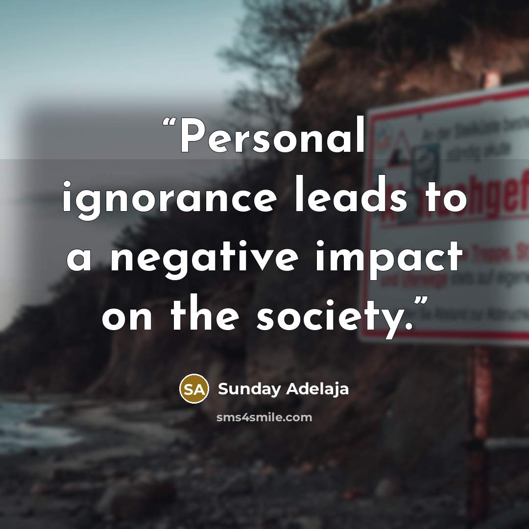 “Personal ignorance leads to a negative impact on the society.” quote by Sunday Adelaja