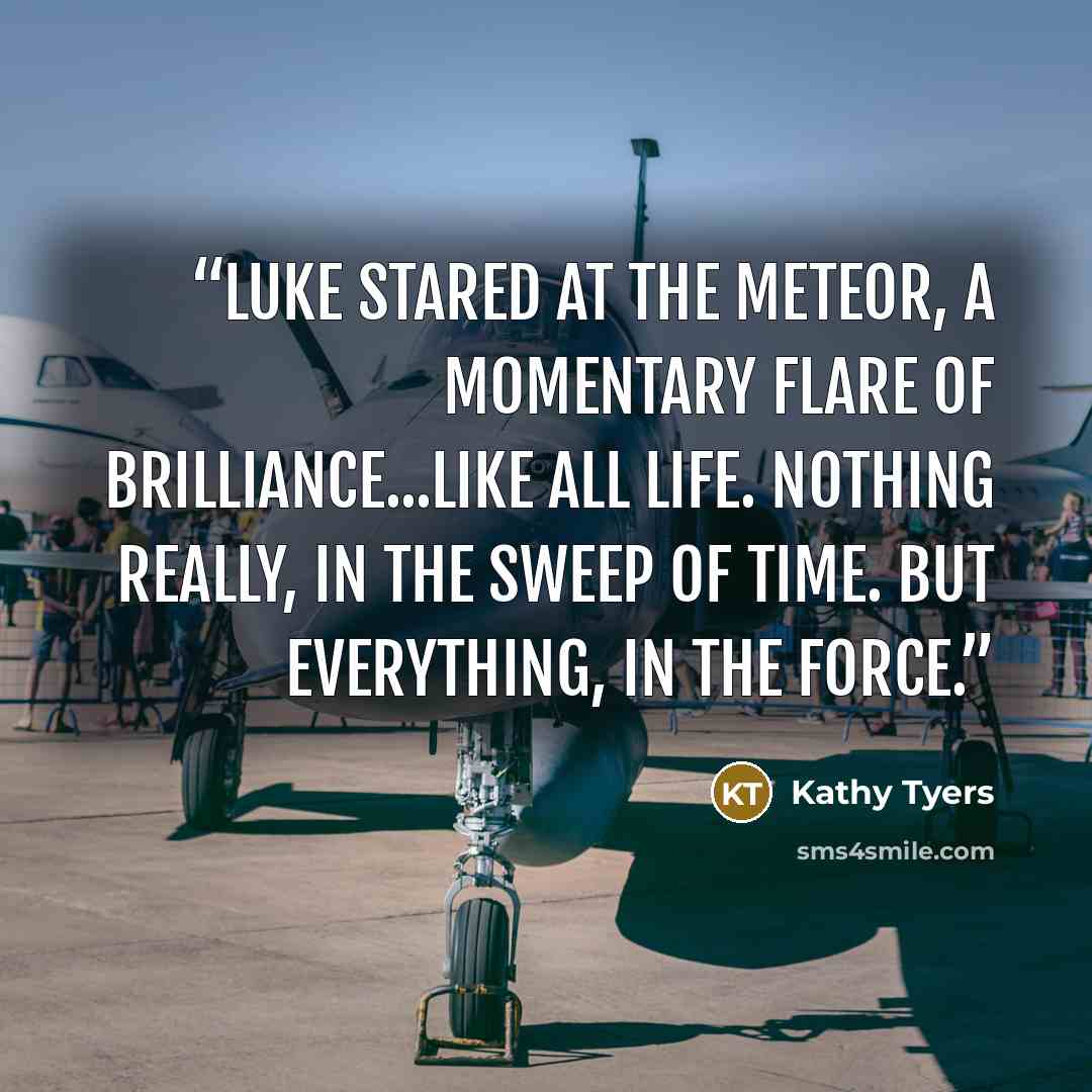 “Luke stared at the meteor, a momentary flare of brilliance...like all life. Nothing really, in the sweep of time. But everything, in the Force.” quote by Kathy Tyers