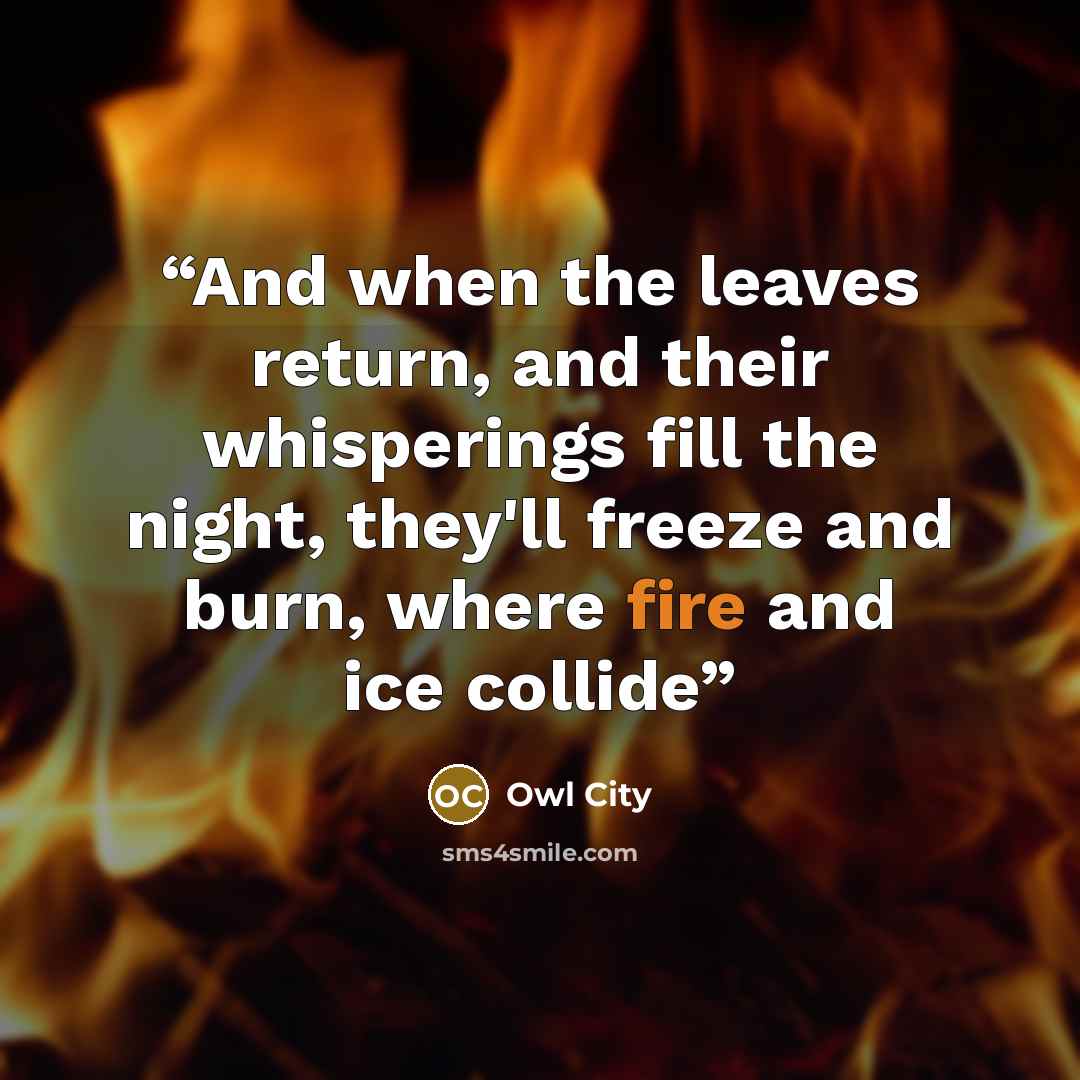 “And when the leaves return, and their whisperings fill the night, they'll freeze and burn, where fire and ice collide” quote by Owl City