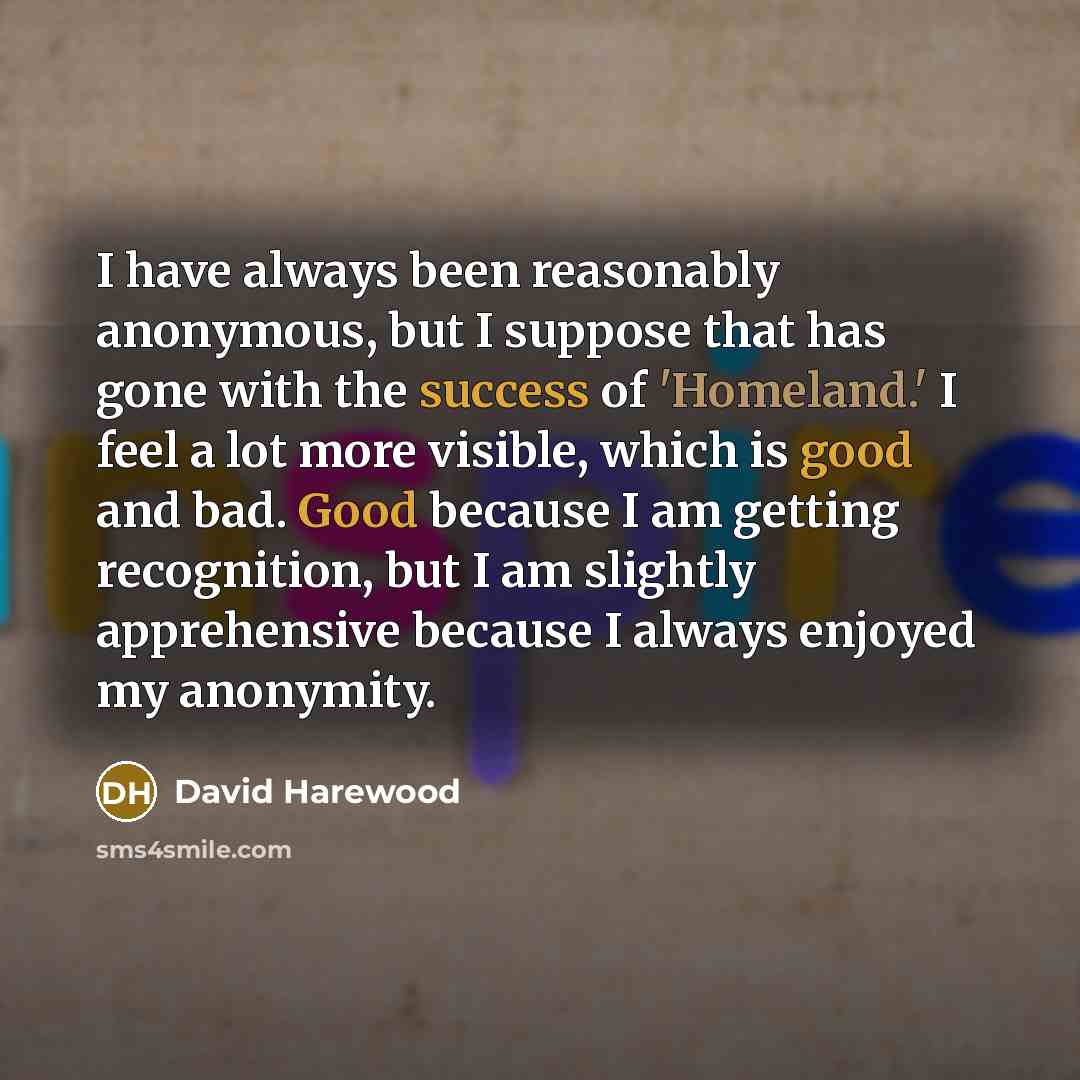 “I have always been reasonably anonymous, but I suppose that has gone with the success of 'Homeland.' I feel a lot more visible, which is good and bad. Good because I am getting recognition, but I am slightly apprehensive because I always enjoyed my anonymity.” quote by David Harewood