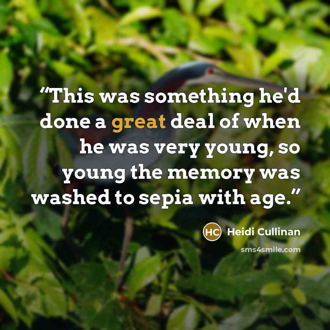 “This was something he'd done a great deal of when he was very young, so young the memory was washed to sepia with age.” quote by Heidi Cullinan