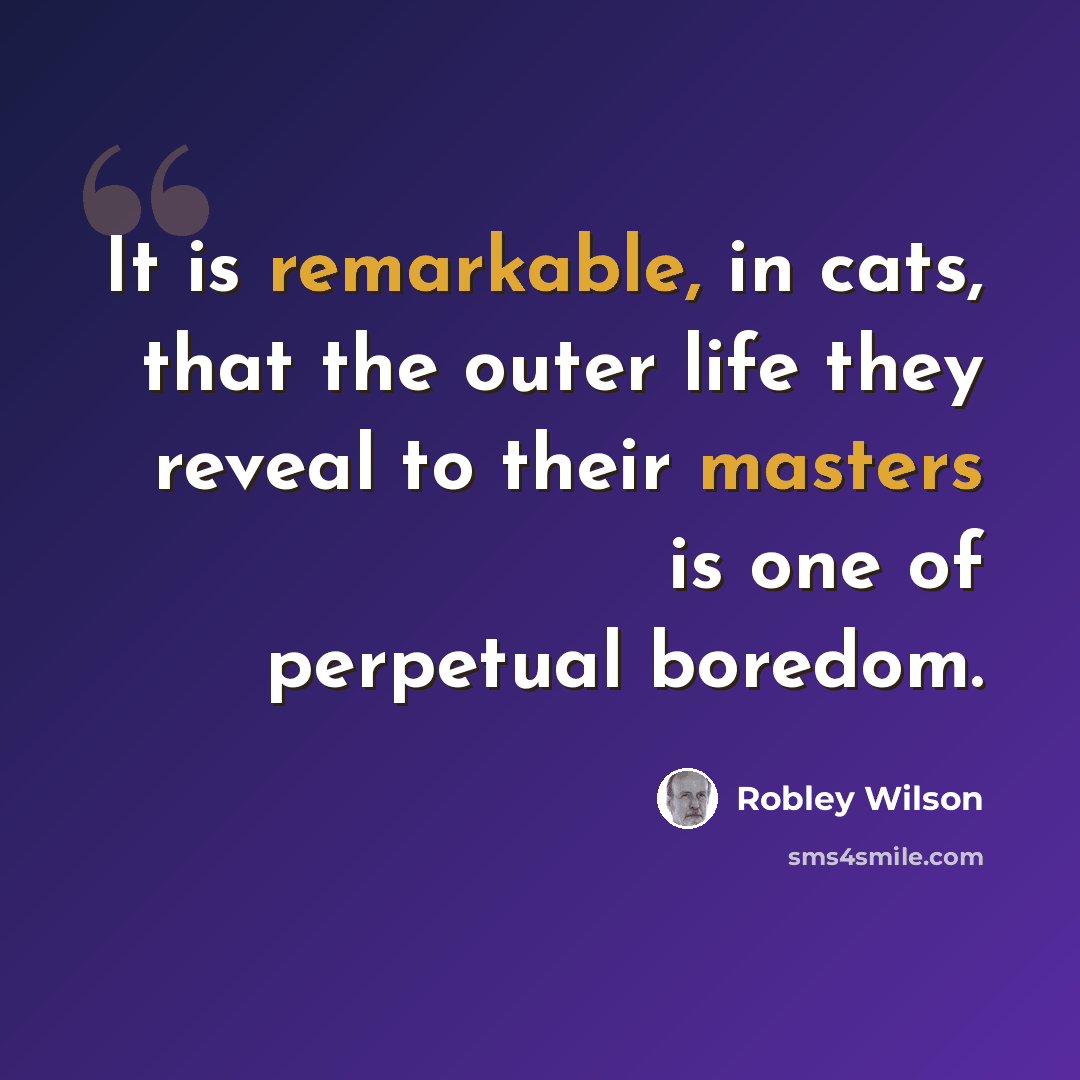 “It is remarkable, in cats, that the outer life they reveal to their masters is one of perpetual boredom.” quote by Robley Wilson
