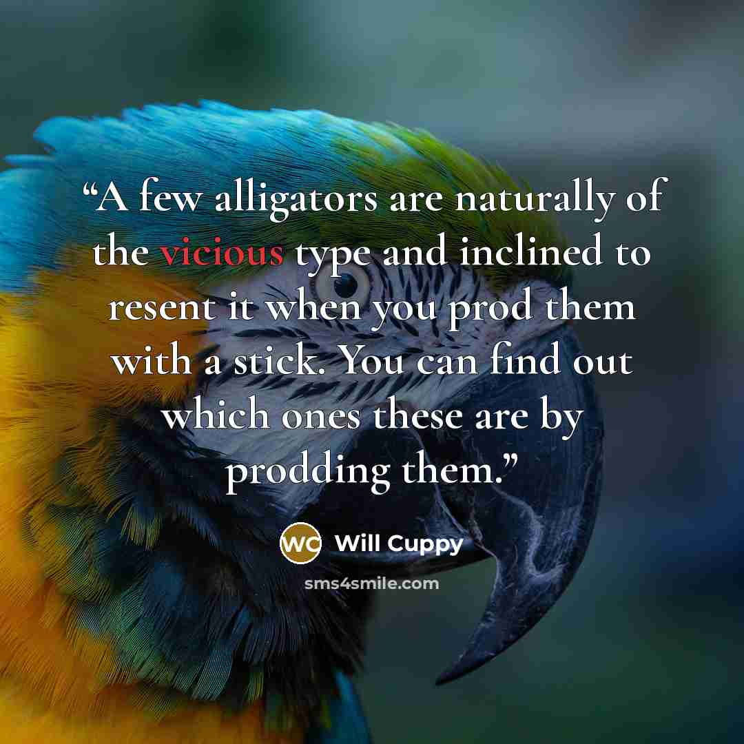 “A few alligators are naturally of the vicious type and inclined to resent it when you prod them with a stick. You can find out which ones these are by prodding them.” quote by Will Cuppy