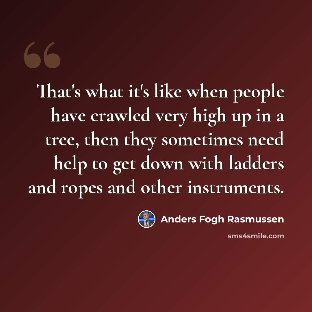 “That's what it's like when people have crawled very high up in a tree, then they sometimes need help to get down with ladders and ropes and other instruments.” quote by Anders Fogh Rasmussen
