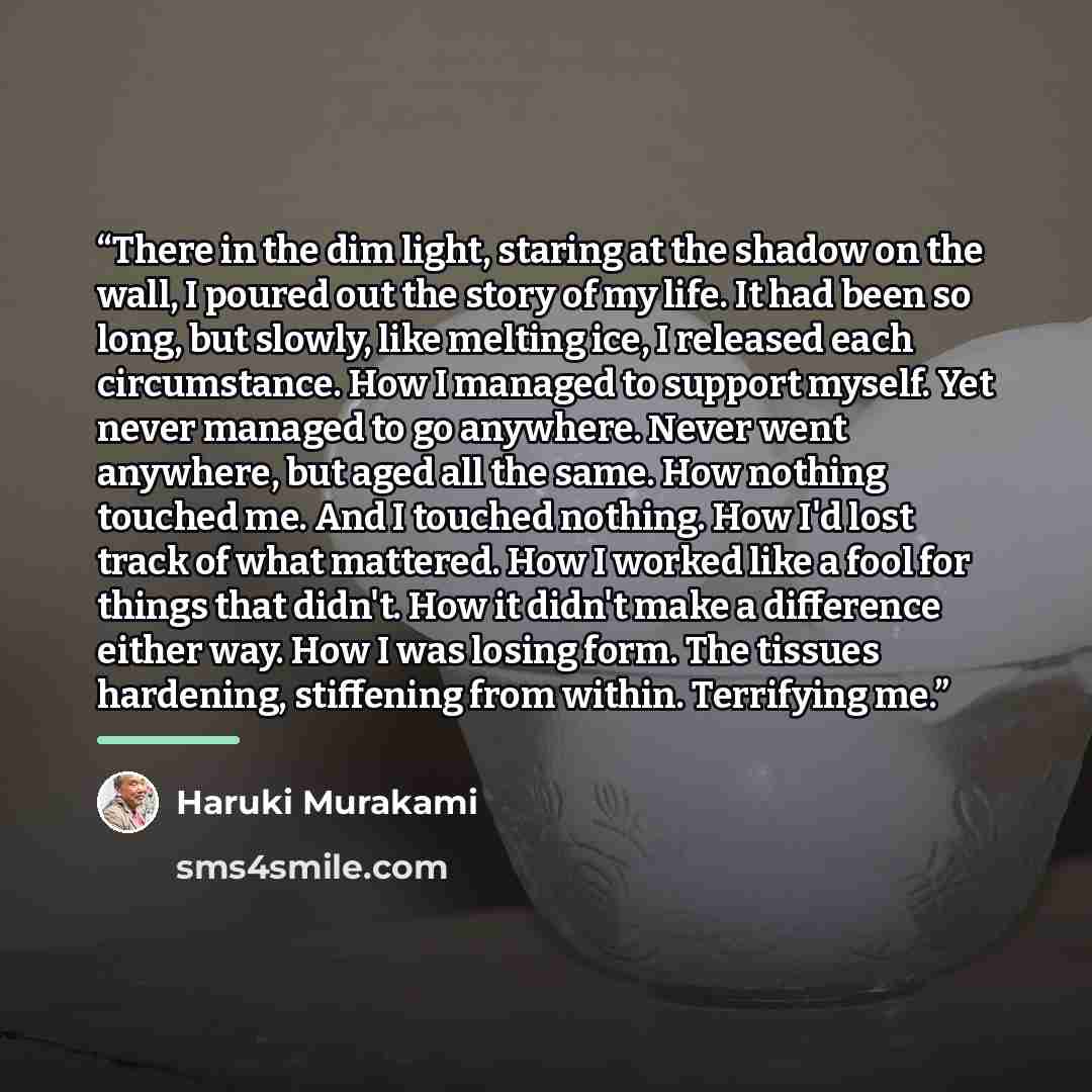 “There in the dim light, staring at the shadow on the wall, I poured out the story of my life. It had been so long, but slowly, like melting ice, I released each circumstance. How I managed to support myself. Yet never managed to go anywhere. Never went anywhere, but aged all the same. How nothing…” quote by Haruki Murakami